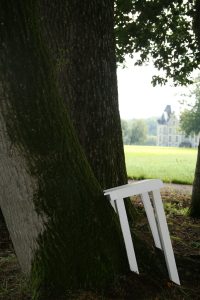 Marta Lavinia Carboni – Tree Stool