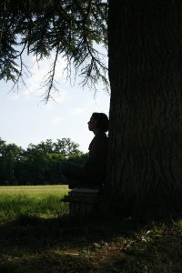 Marta Lavinia Carboni – Tree Stool