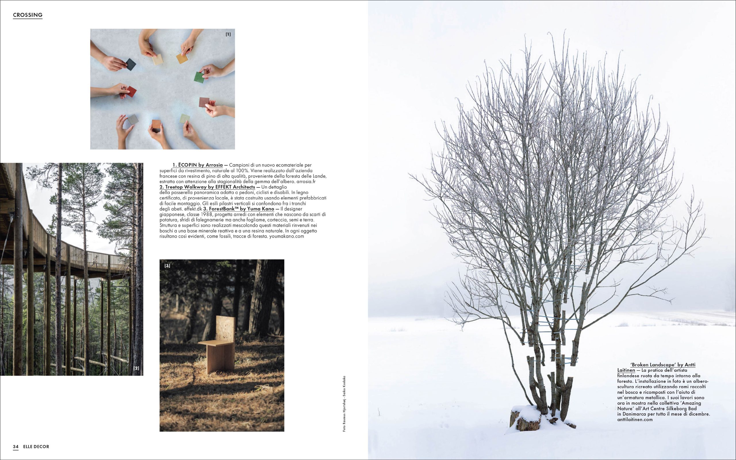 Marta Lavinia Carboni – Elle Decor – Alberi